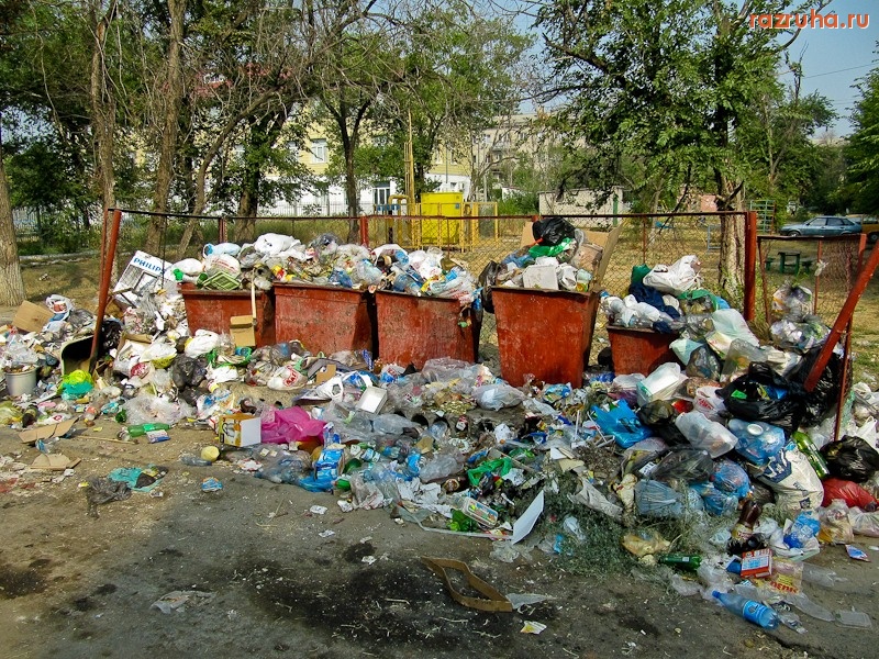Волгоград - Своевременный вывоз мусора
