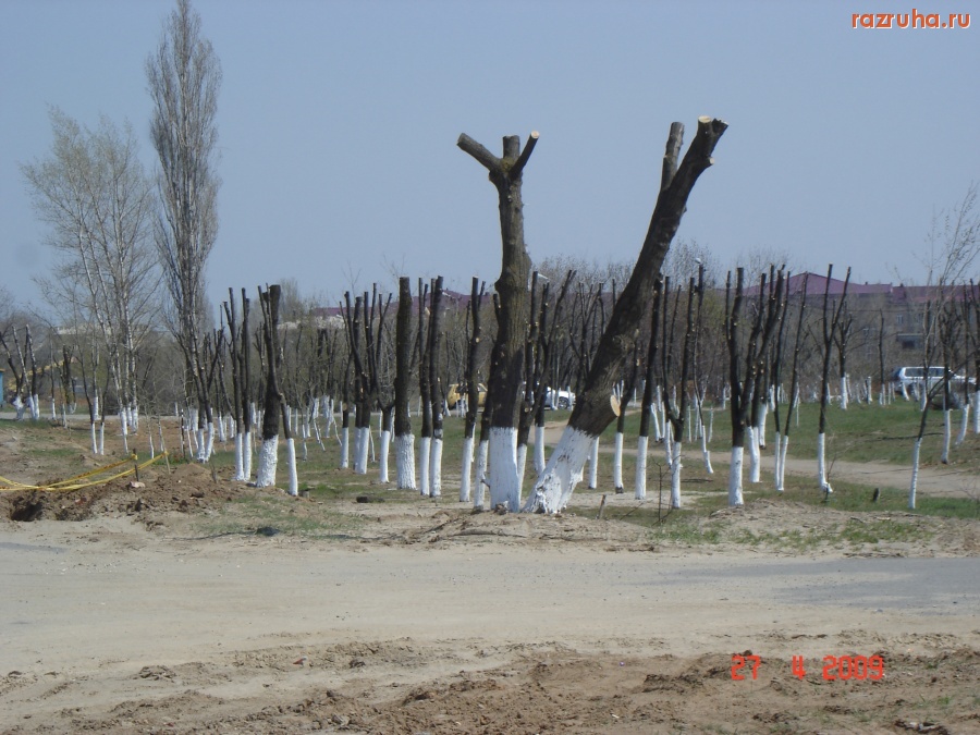 Волгоград - ВЕСНА-КРАСНА