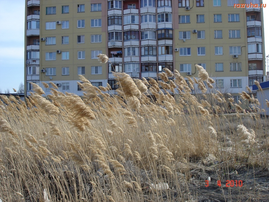 Волгоград - разруха по-волгоградски