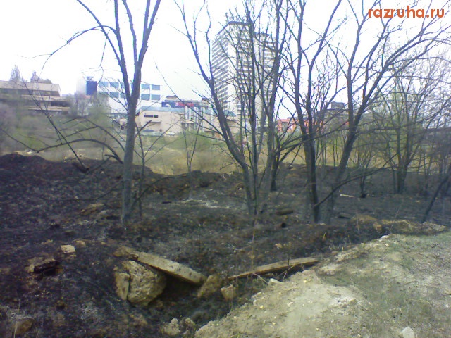 Волгоград - Приведем в порядок наш город!