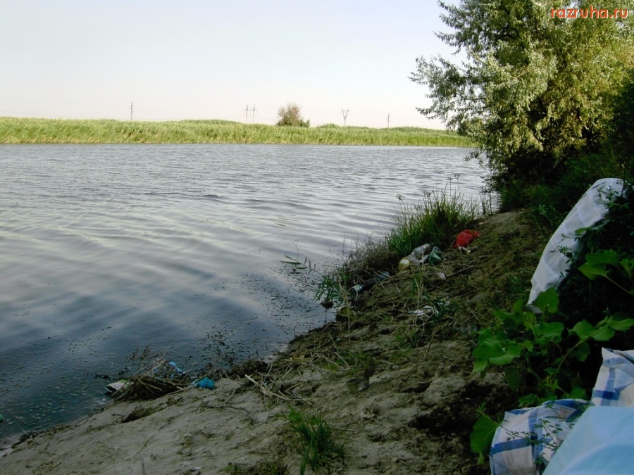 Котельниково - Берег р.Курмоярский Аксай
