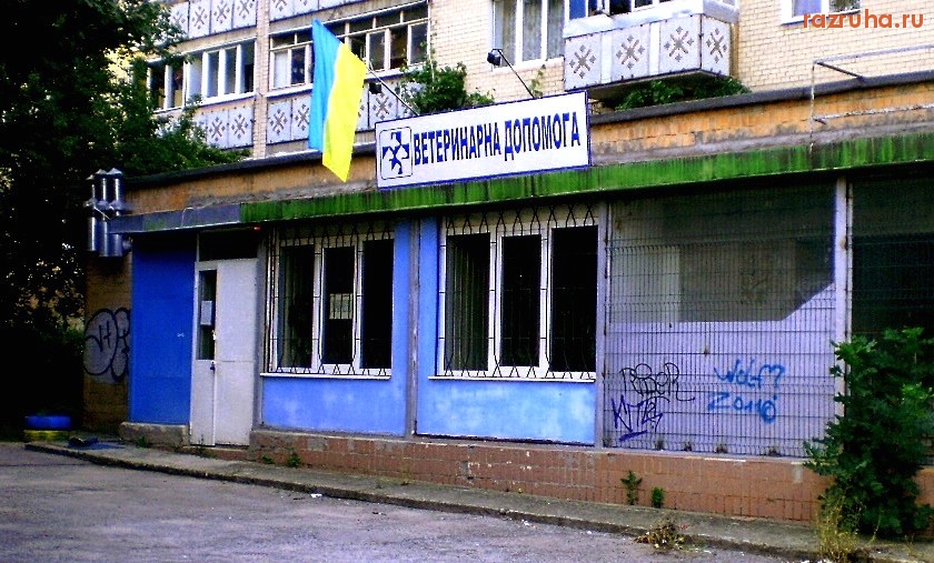 Каменец-Подольский - Ветеринарная помощь в Каменце-Подольском. Слава Украине! =)))