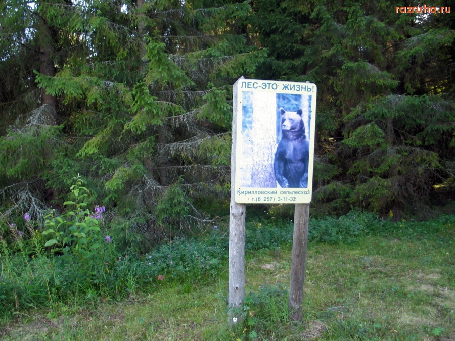 Вологодская область - Плакат