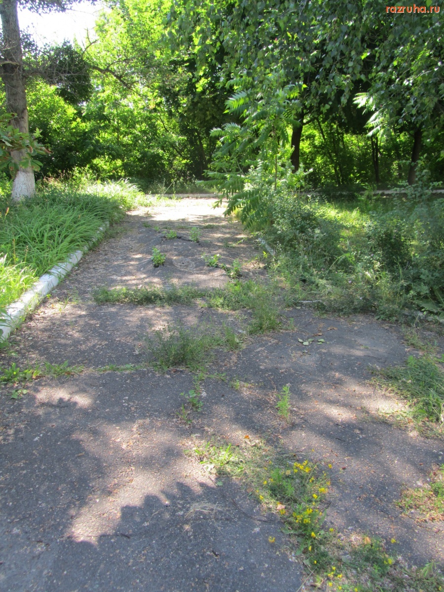 Канев - асфальтированные дорожки у школы №6