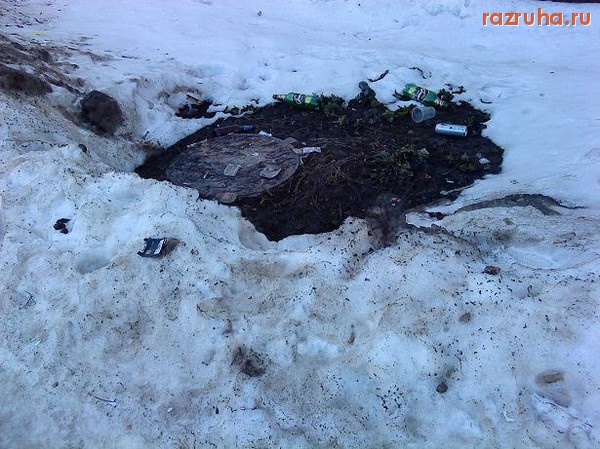 Череповец - Весна, подснежники