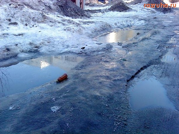 Череповец - Весна, подснежники