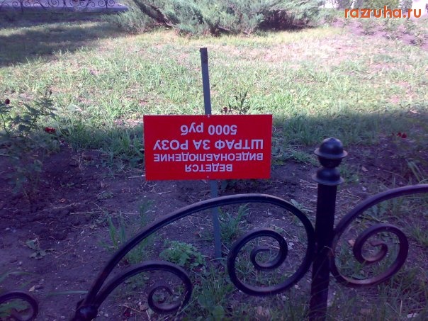 Воронеж - предупредили