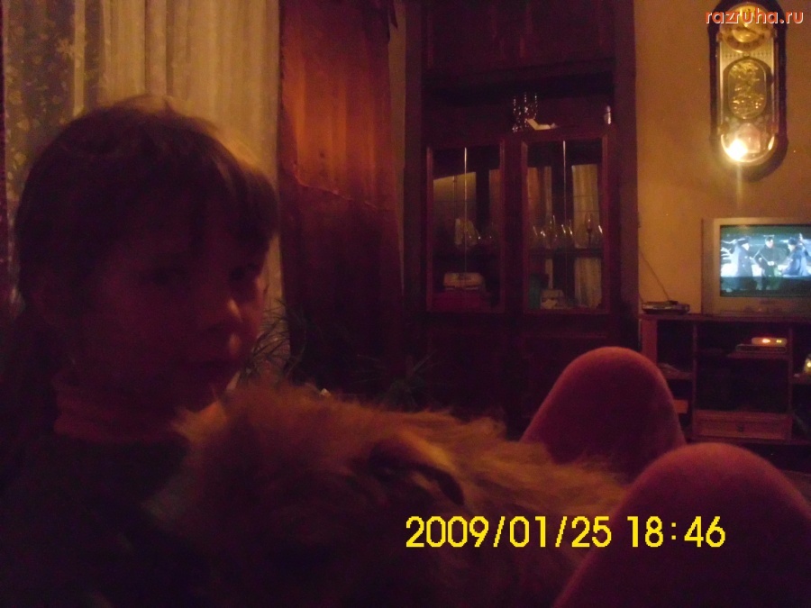 Гомель - Копаткевичи