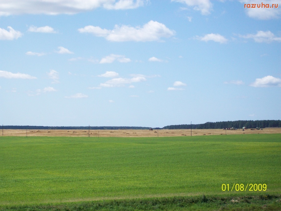 Свислочь - Поля вокруг Свислочи