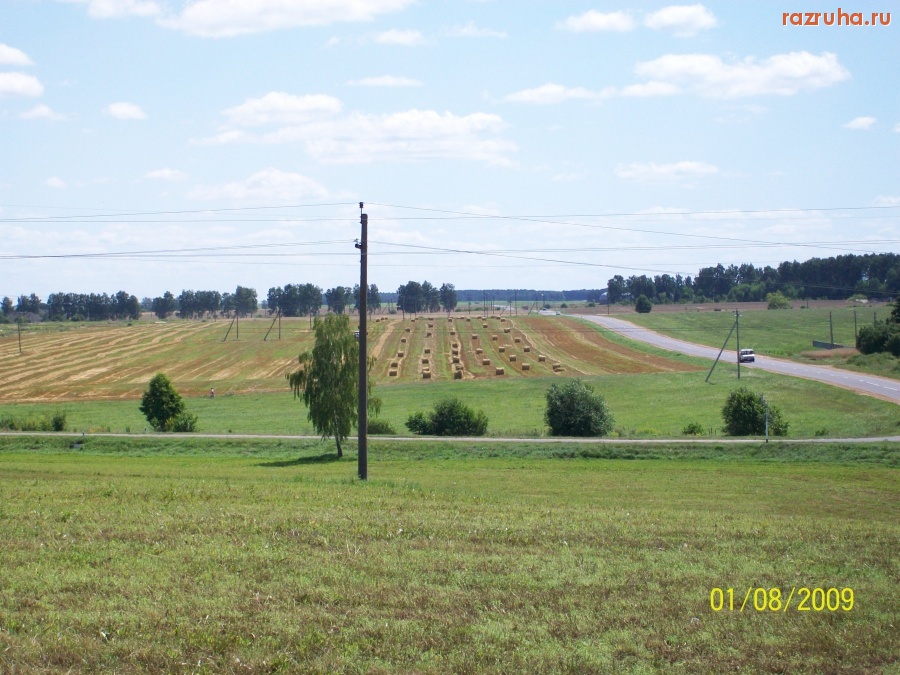 Свислочь - Поля вокруг Свислочи