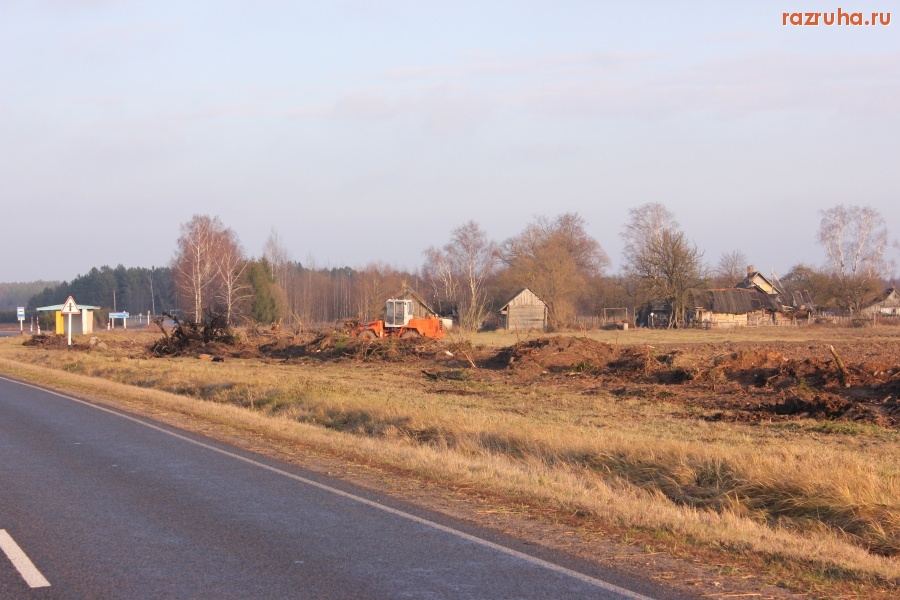 Жодишки - Уничтожение придорожных насождений