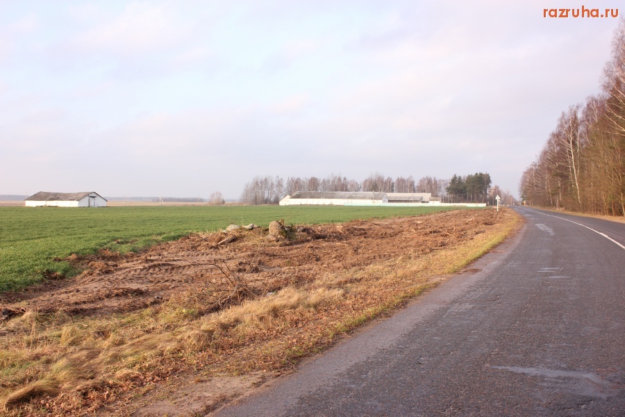 Жодишки - Уничтожение придорожных насождений