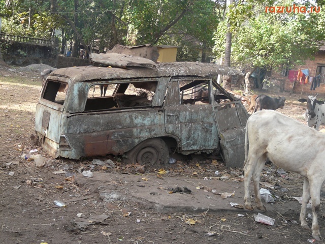 Индия - Вросшая в землю машина