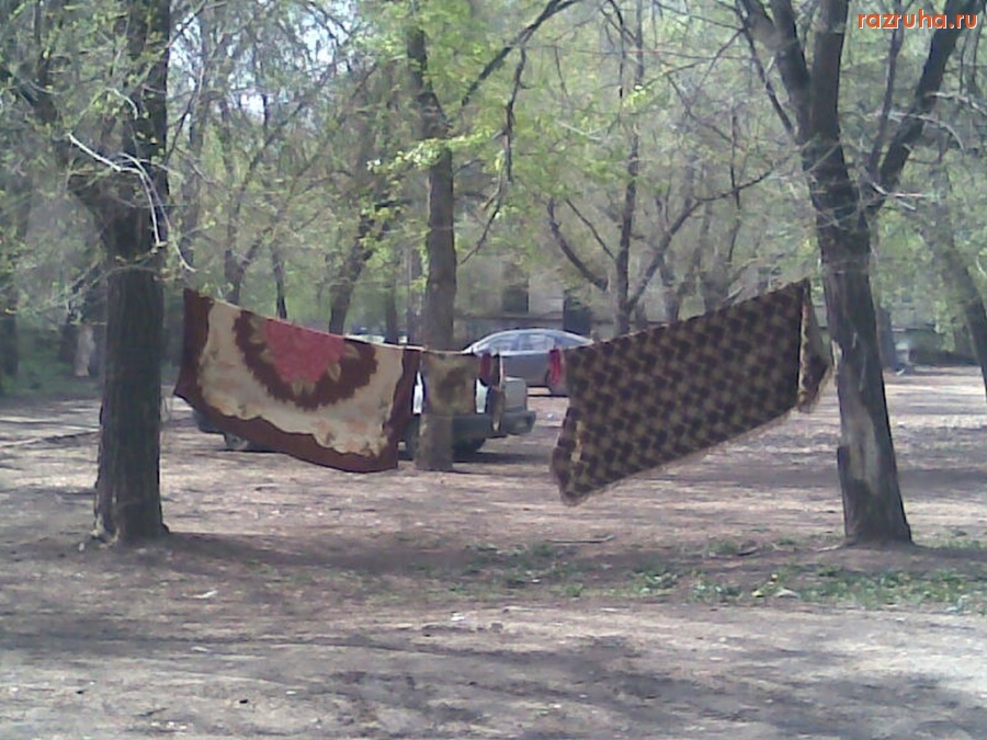 Самара - Ковры