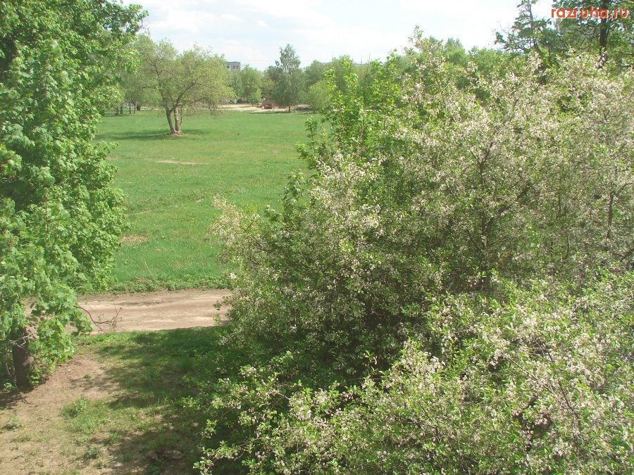 Раменский Совхоз - Местные красоты