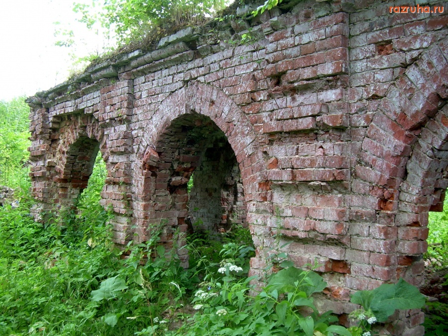 Ольгово - Руины усадьбы Ольгово