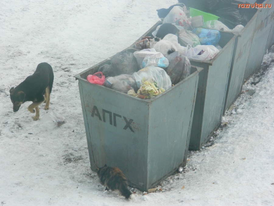 Авсюнино - А мусор и ныне там!!!!