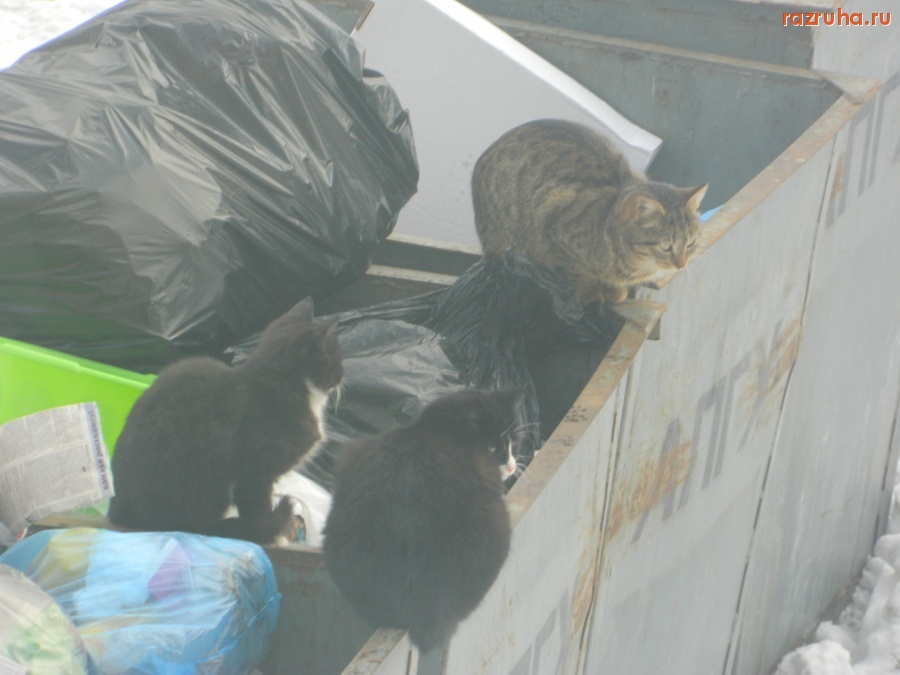 Авсюнино - дом №13 ул Ленина п Авсюнино