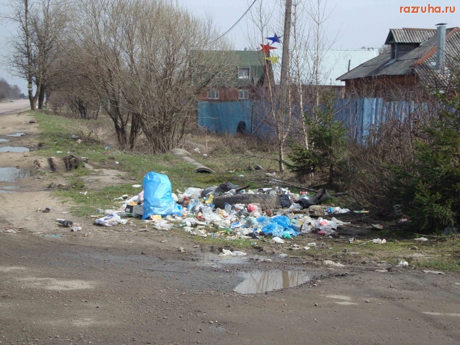Лукошкино - помойка у обочины