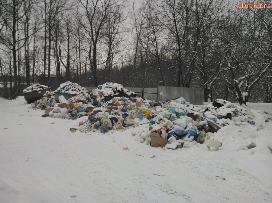 Чернецкое - обычное состояние мусорки