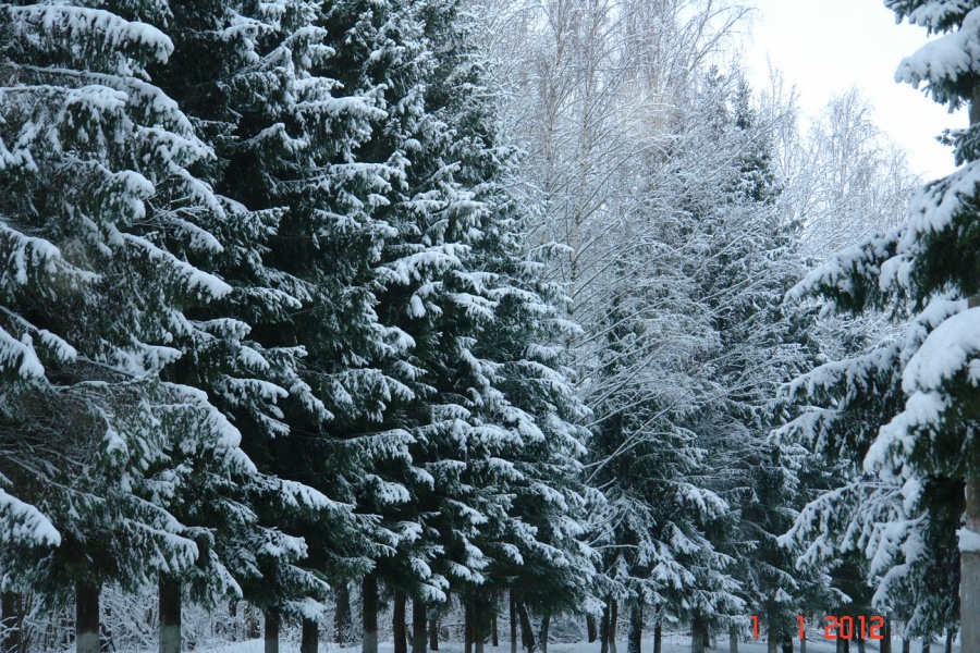 Чернецкое - местные достопримечательности