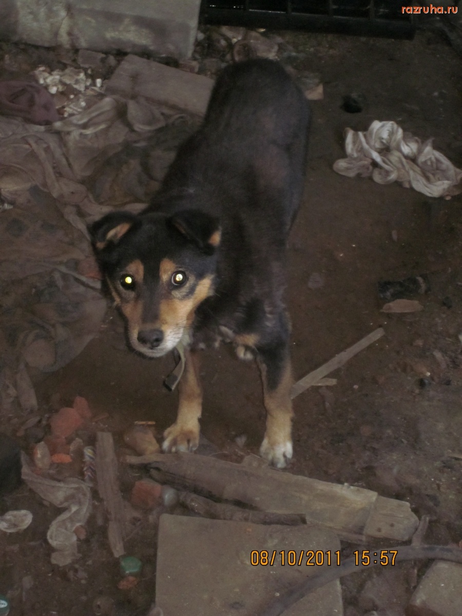 Нижний Новгород - покинутость какая, заброшенность кругом