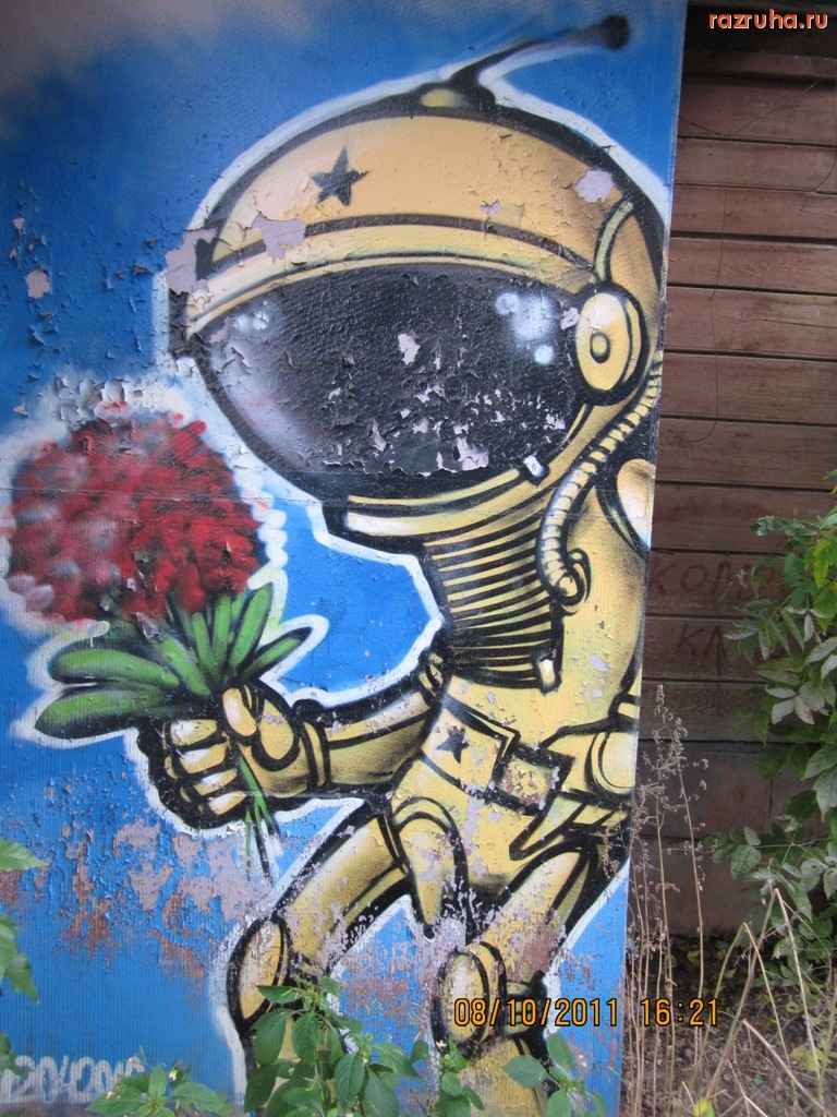 Нижний Новгород - космонавт