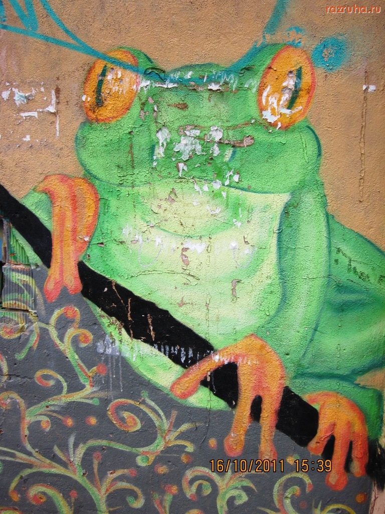 Нижний Новгород - лягушка-гипнотизёрша