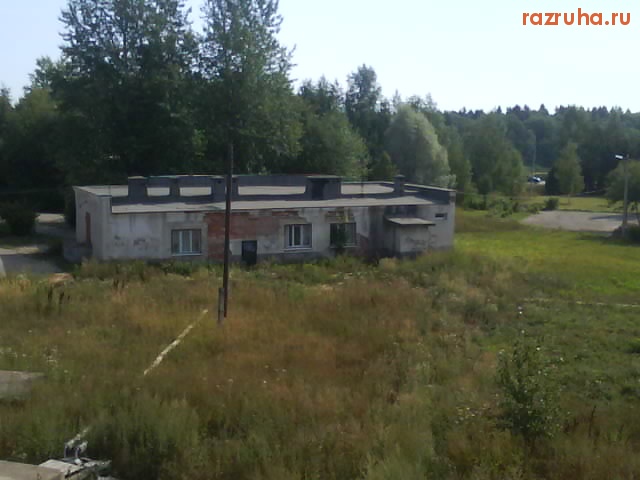 Мишутино - фото