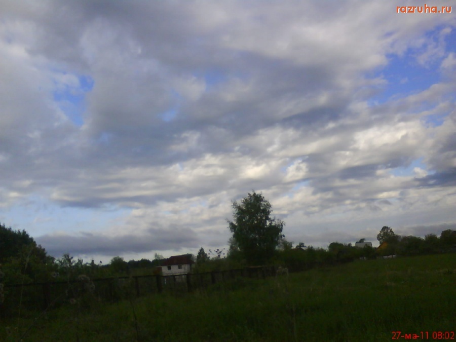 Мишутино - фото