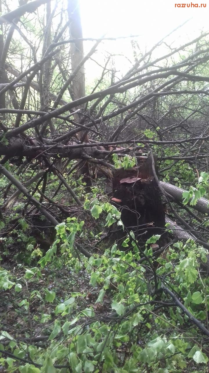 Опалиха - Опалиха - Алексеевское