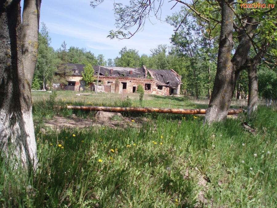 Великий Новгород - Великий Новгород мкр. Кречевицы