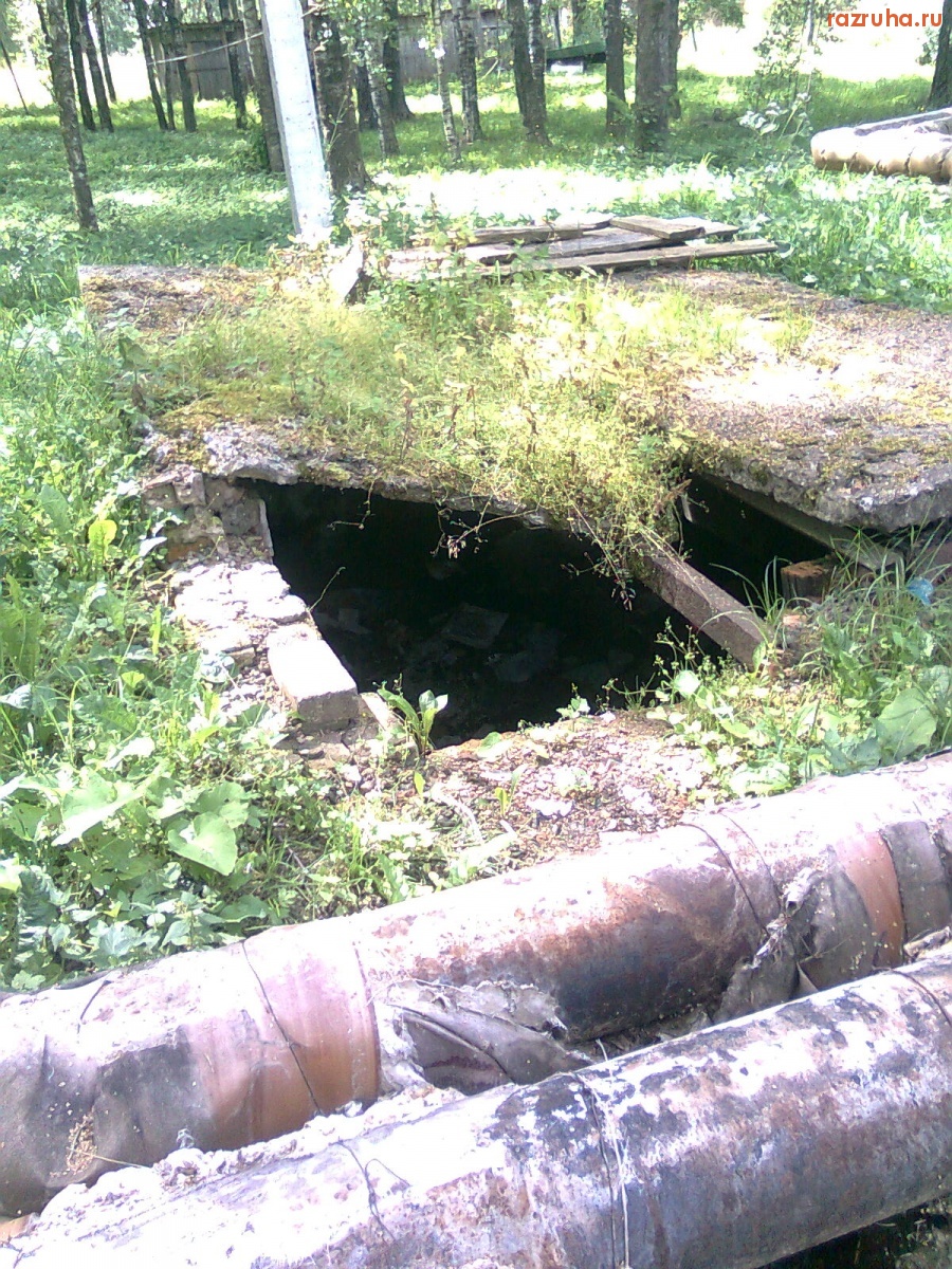 Великий Новгород - Великий Новгород