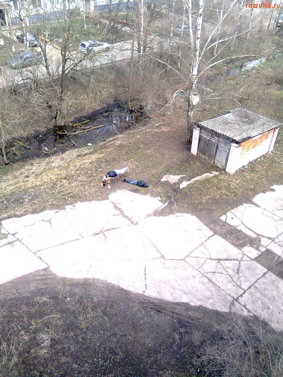 Великий Новгород - Великий Новгород