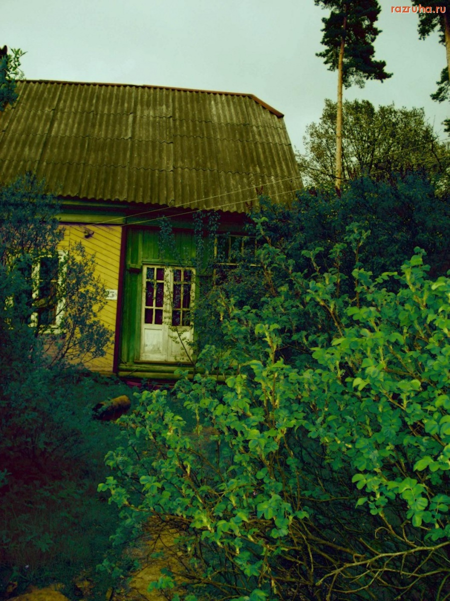 Загорянский - Домик