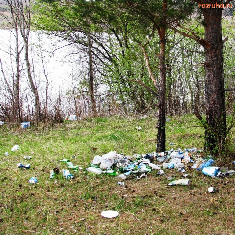 Челобитьево - Озеро в болтино