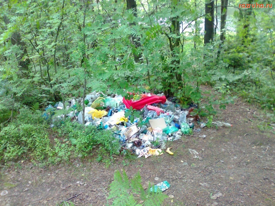 Челобитьево - Ворошиловский лес