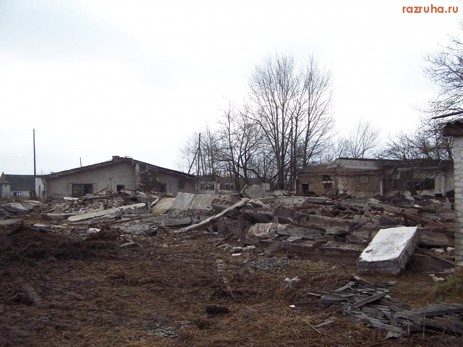 Климово - Молочно-товарная ферма в с. Н.Юрковичи