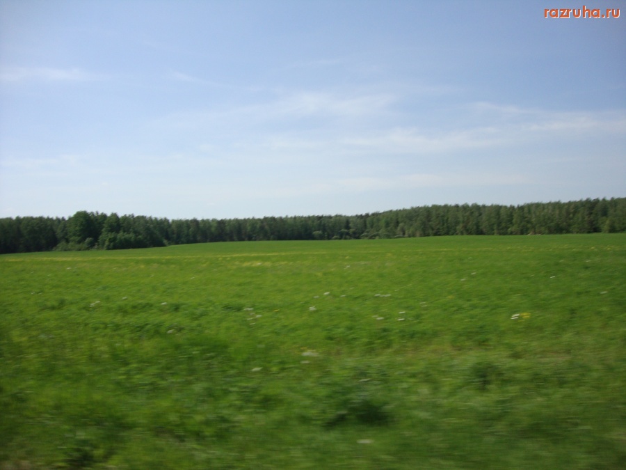 Спутник - поля на Спутнике