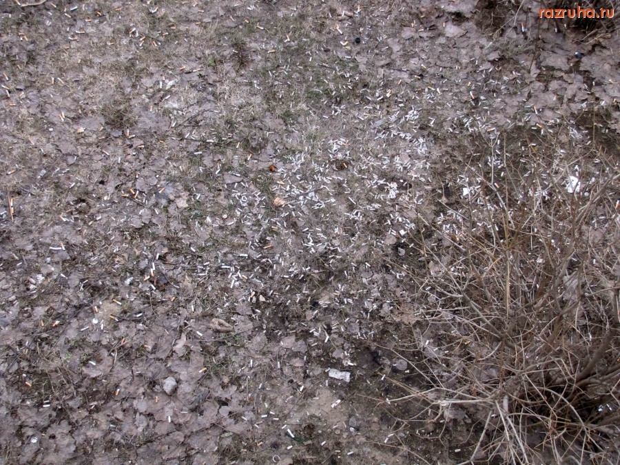 Саратов - накурили