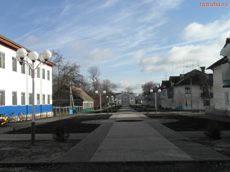 Белая Березка - Новая аллея