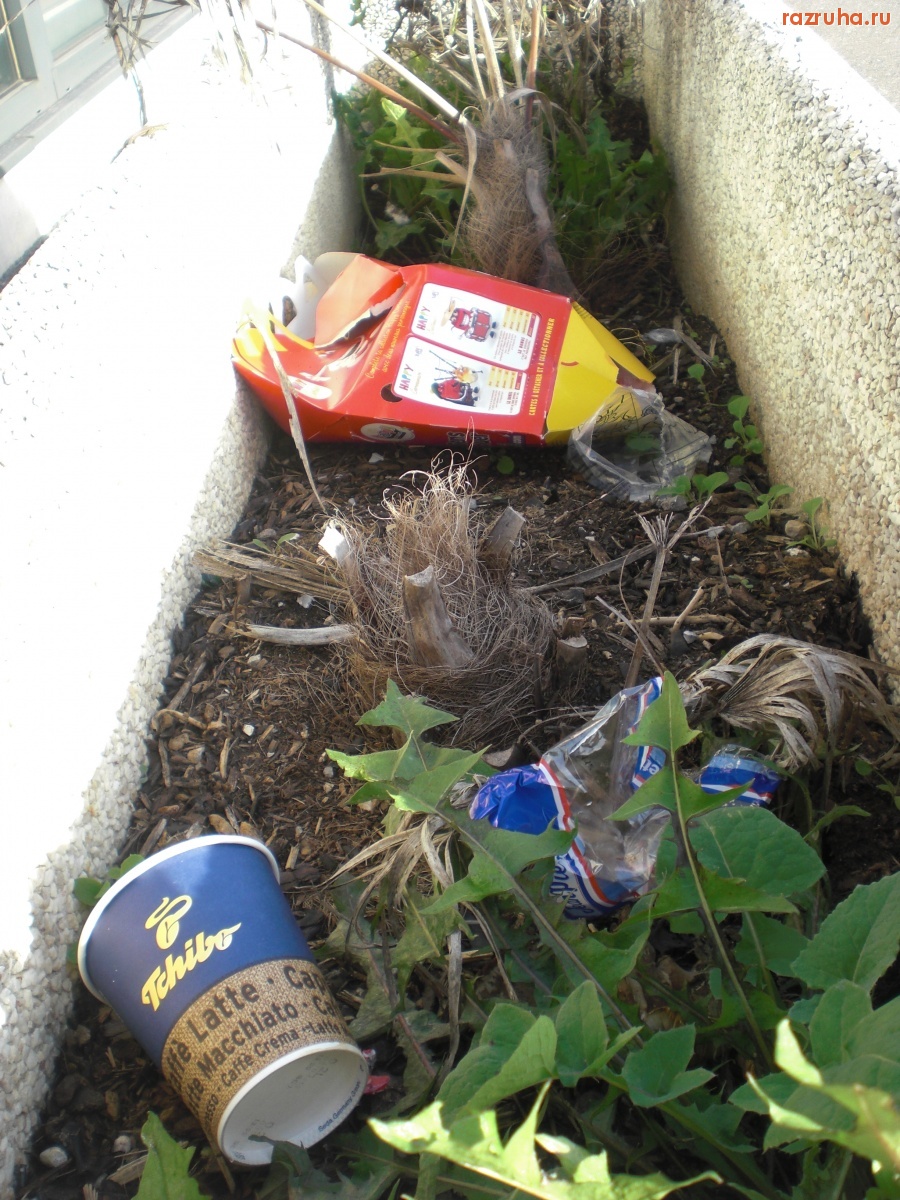 Франция - для цветов