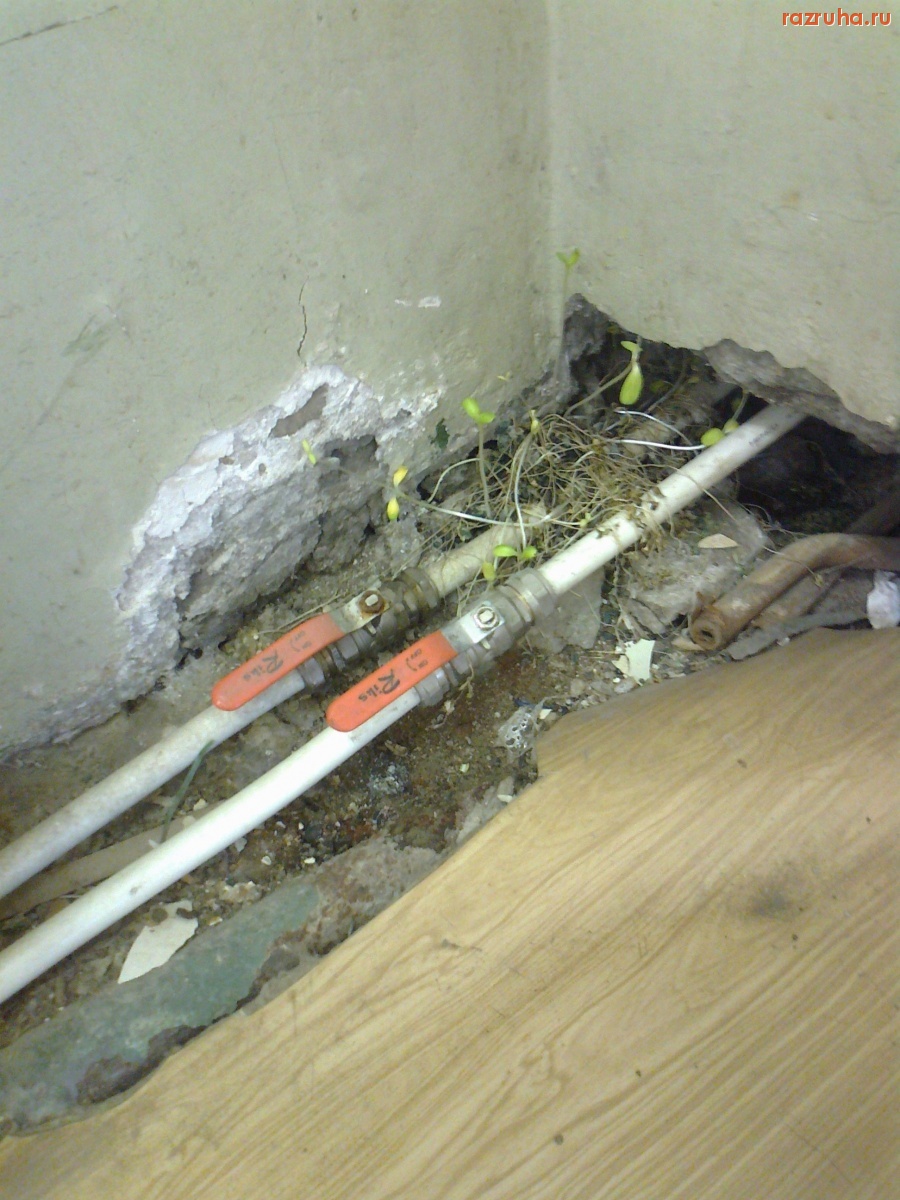 Пушкин - Больница Семашко г. Пушкин (Санкт-Петербург)