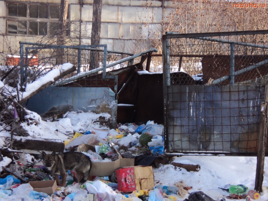 Северомуйск - цтп