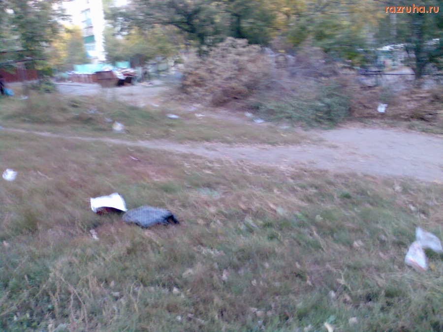 Курск - У помойки возле школы