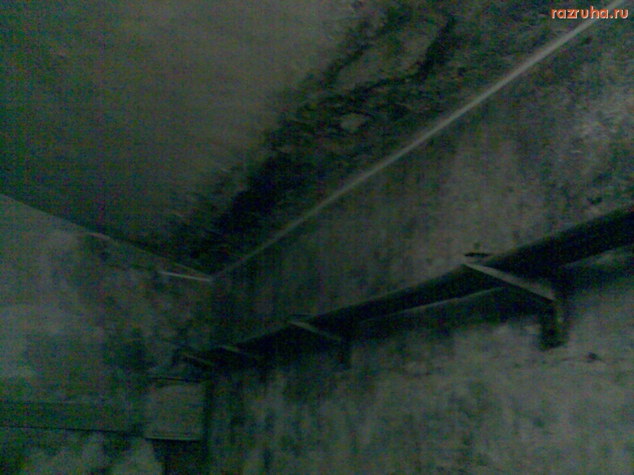 Курск - В Южной трибуне