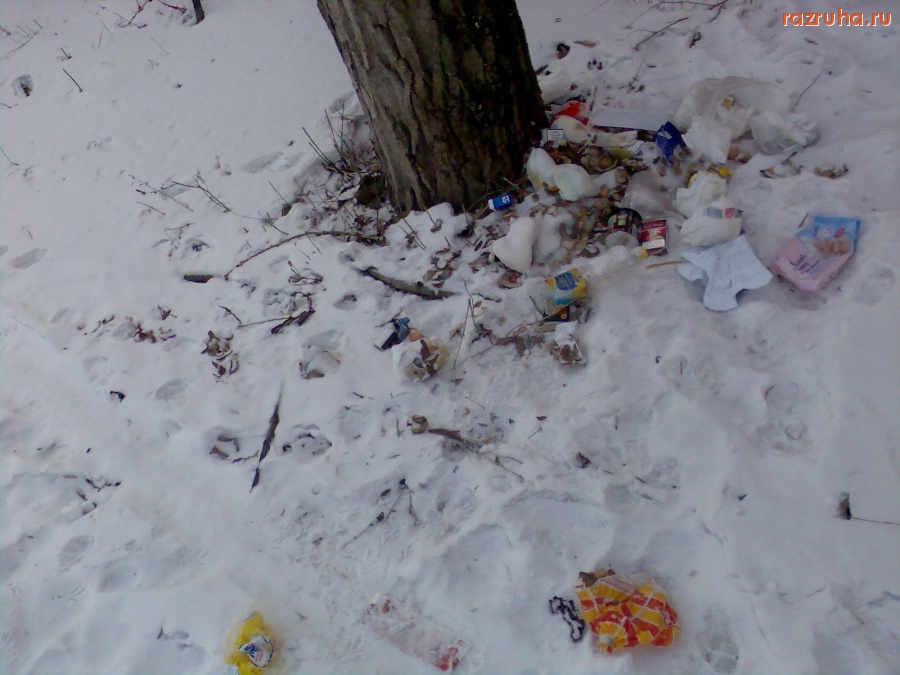 Курск - мусор