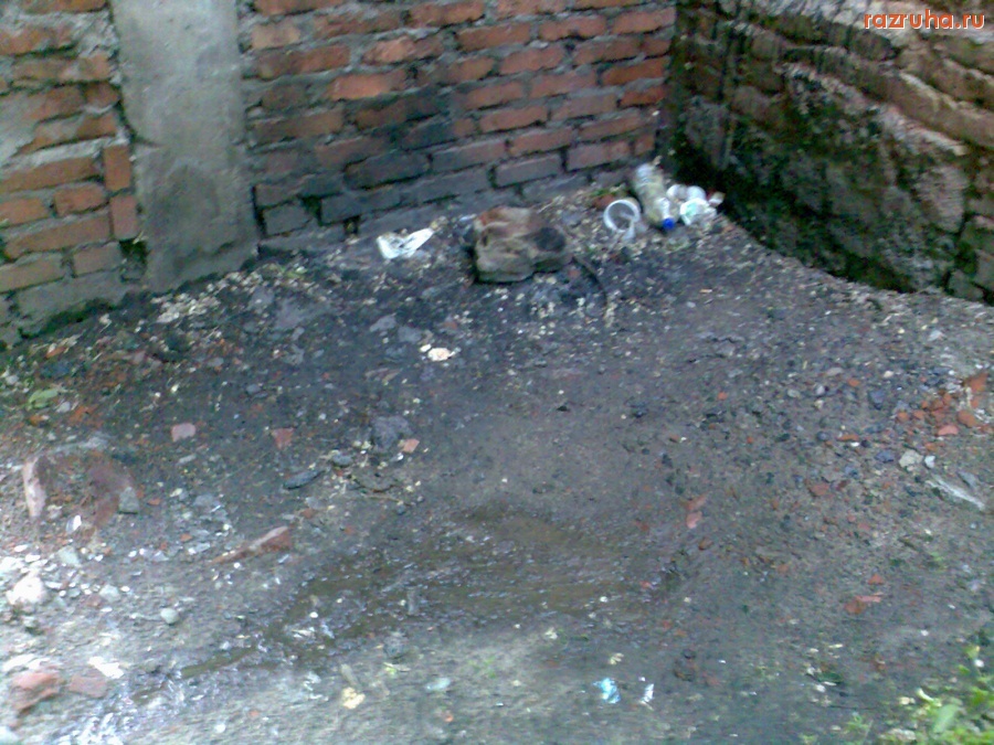 Курск - Где ходят за угол