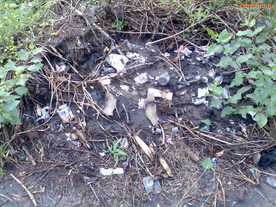 Курск - Нормальные деревья спилили!