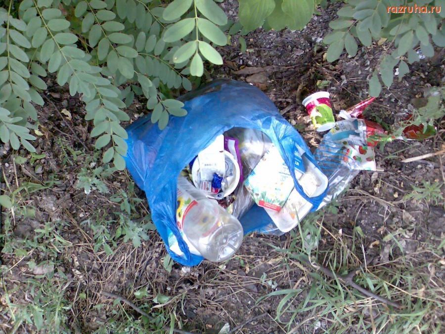 Курск - Уличный мусор